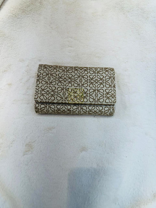 Beautiful Loewe Wallet