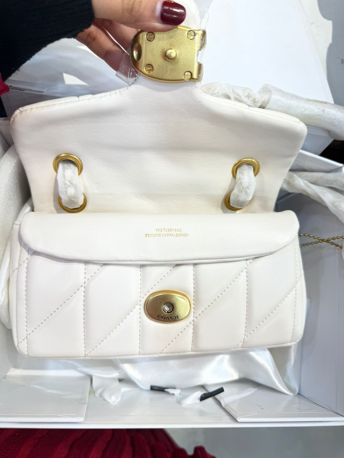 Elegant Fluffy Coach Sling Bag