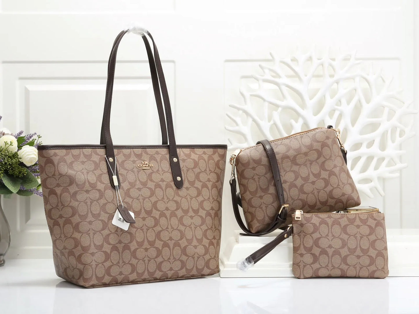 Coach Signature Tote Bag PO31
